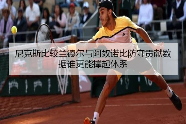 尼克斯比较兰德尔与阿奴诺比防守贡献数据谁更能撑起体系