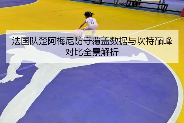法国队楚阿梅尼防守覆盖数据与坎特巅峰对比全景解析